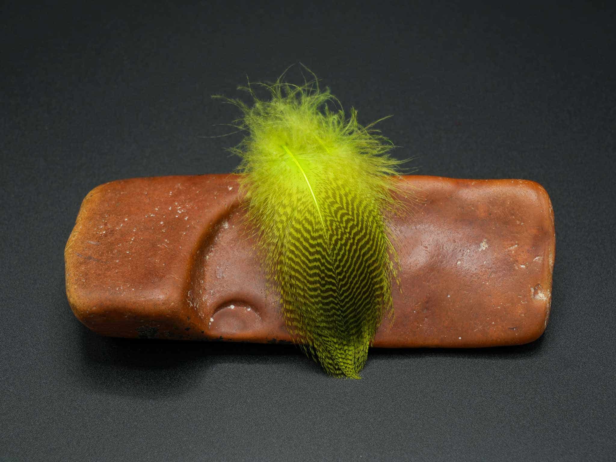 Teal Flank - Image 2