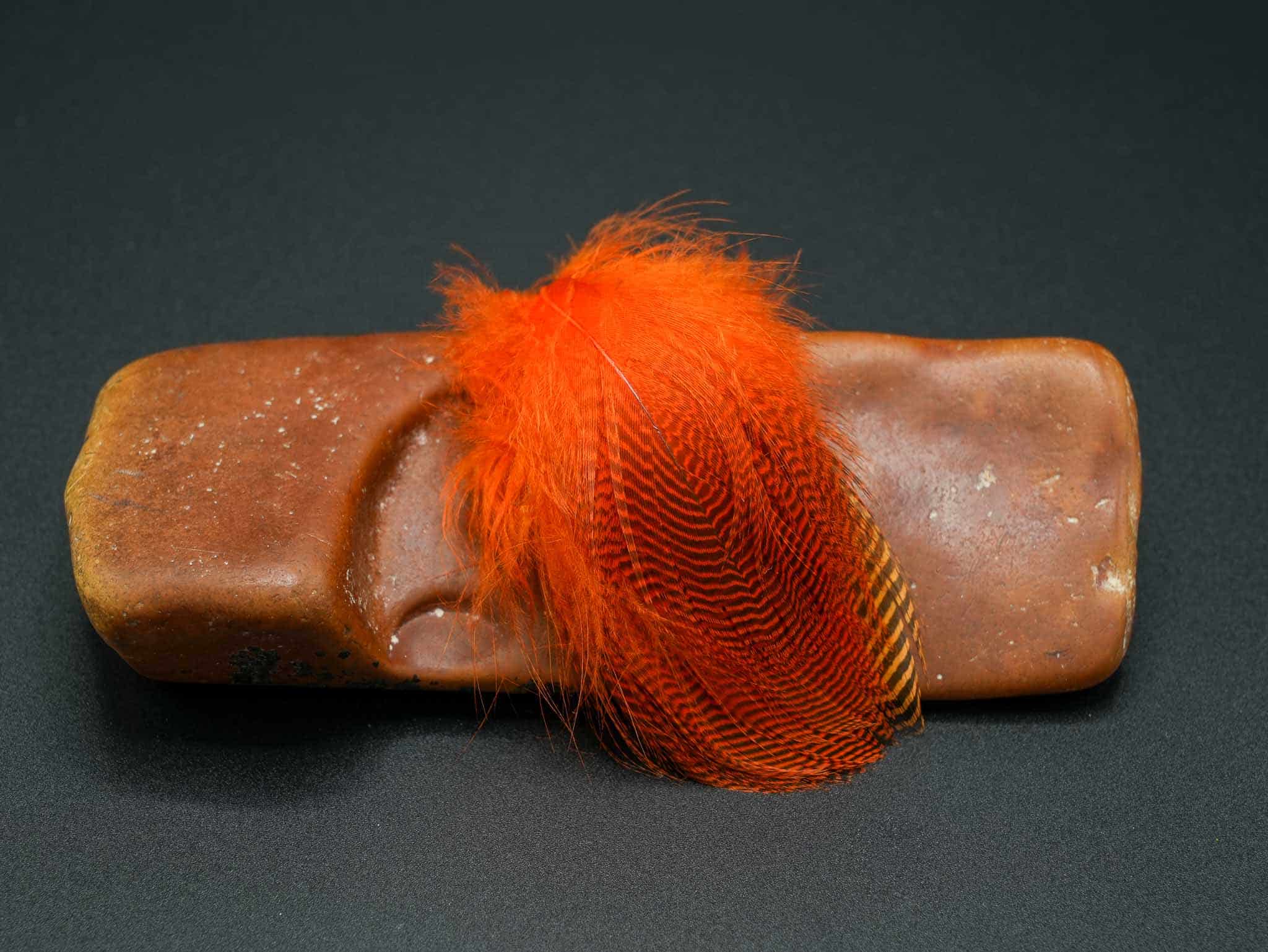 Teal Flank - Image 6