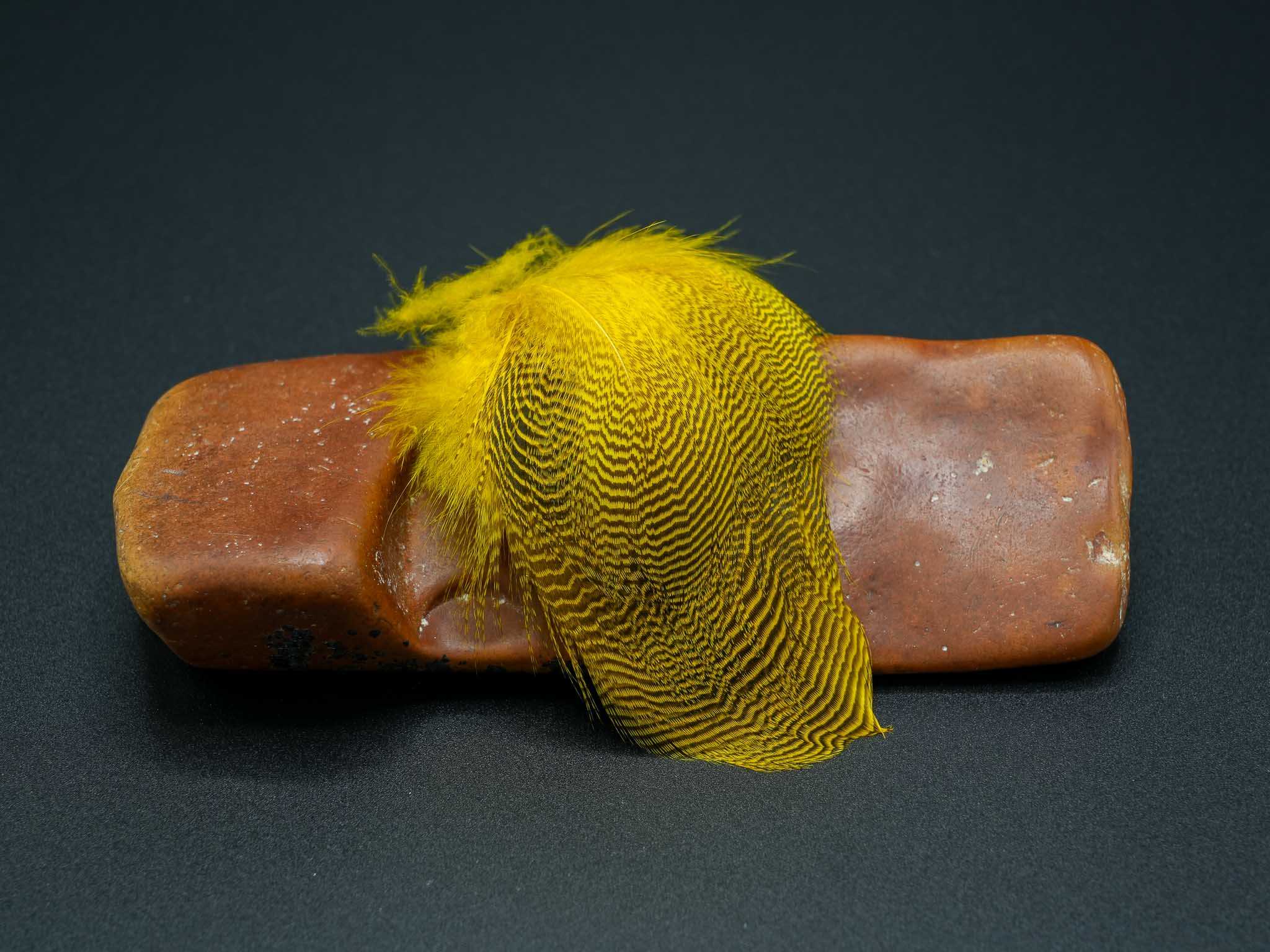 Teal Flank - Image 7