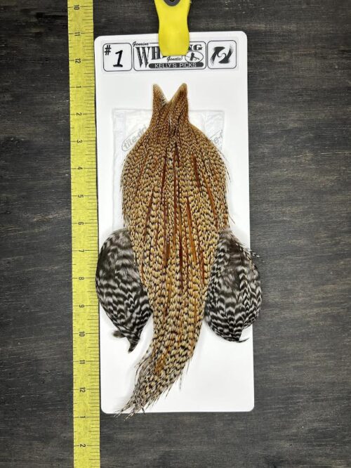 Whiting Cape - Kelly's Picks - Black Barred Ginger #1