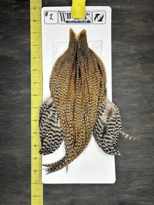 Whiting Cape - Kelly's Picks - Black Barred Ginger #2