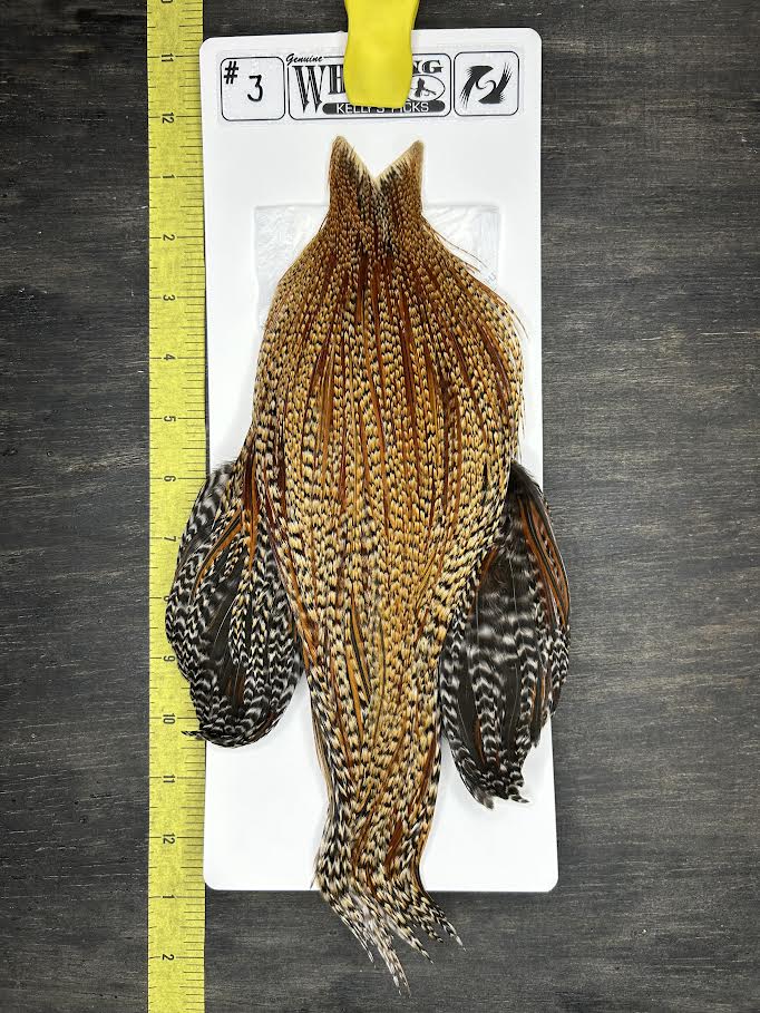 Whiting Cape - Kelly's Picks - Black Barred Ginger #3