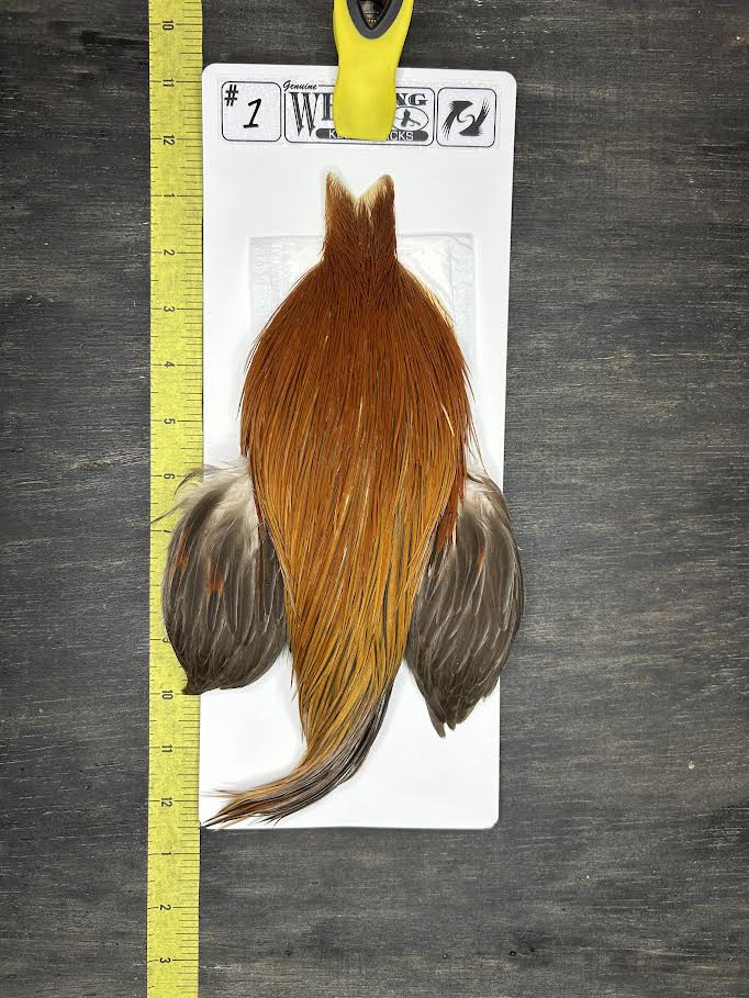 Whiting Cape – Kelly's Picks – Brown #1