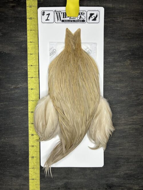 Whiting Cape – Kelly's Picks – Cahill Dun #001