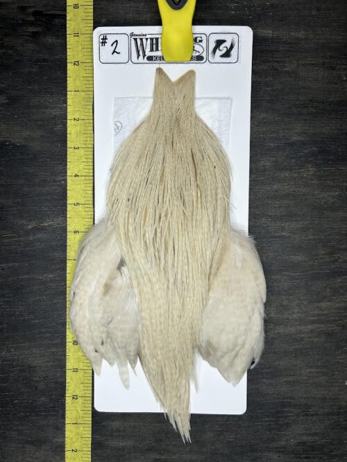 Whiting Cape – Kelly's Picks – Cream #2