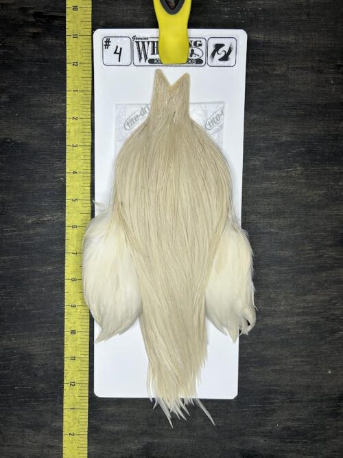 Whiting Cape – Kelly's Picks – Cream #4