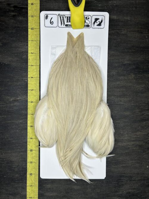 Whiting Cape – Kelly's Picks – Cream #6