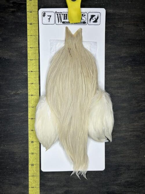Whiting Cape – Kelly's Picks – Cream #7