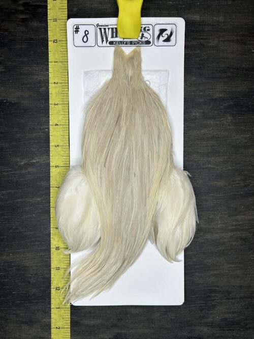 Whiting Cape – Kelly's Picks – Cream #8