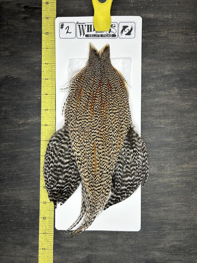 Whiting Cape - Kelly's Picks - Cree #2