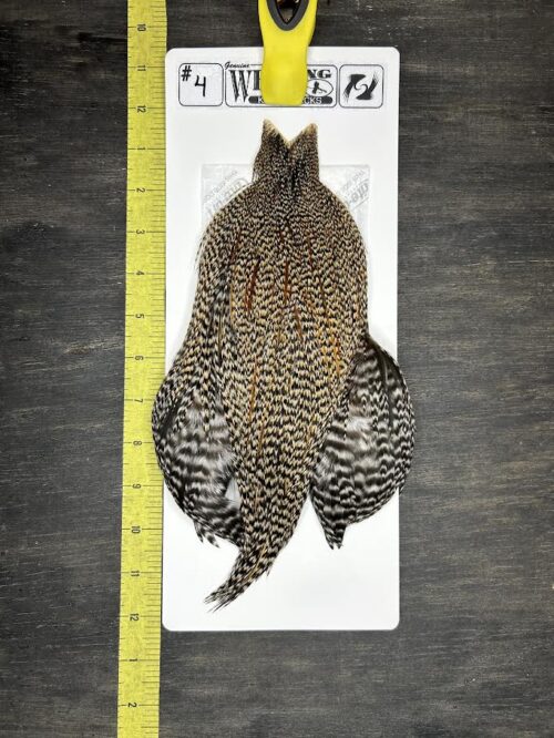 Whiting Cape - Kelly's Picks - Cree #4