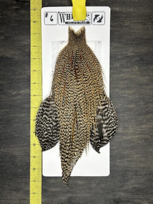 Whiting Cape - Kelly's Picks - Cree #6