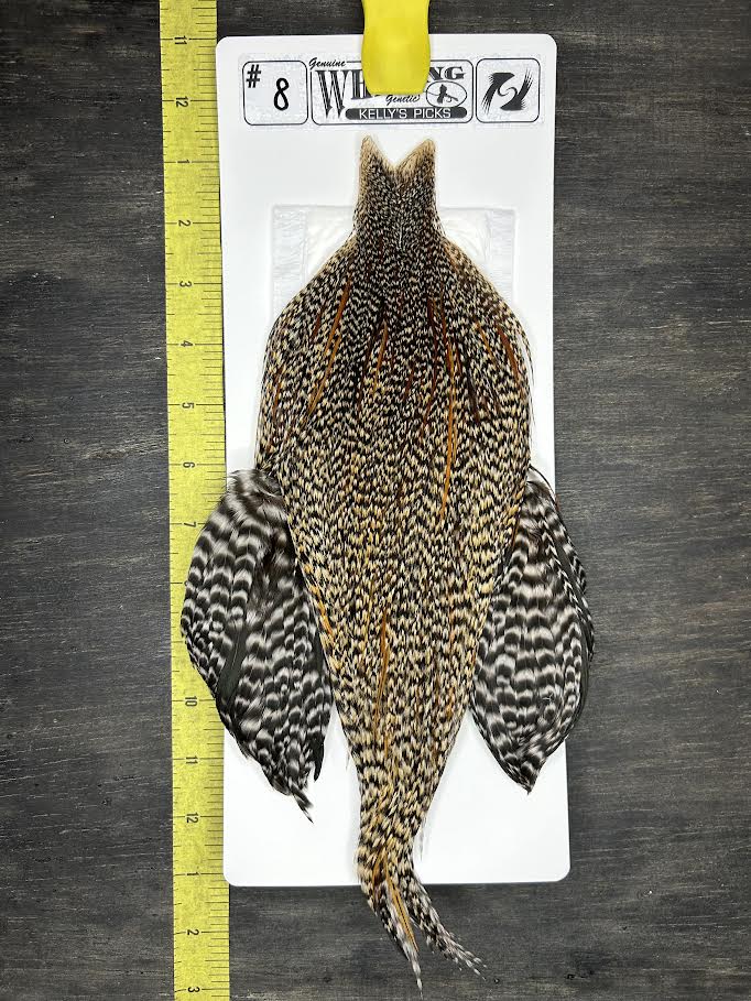 Whiting Cape - Kelly's Picks - Cree #8