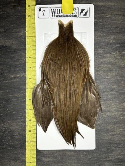 Whiting Cape – Kelly's Picks – Dark Dun #1