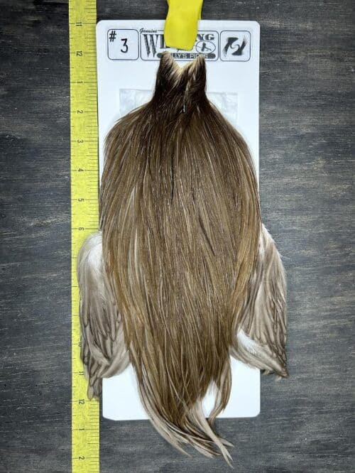 Whiting Cape – Kelly's Picks – Dark Dun #3
