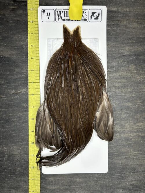 Whiting Cape – Kelly's Picks – Dark Dun #4