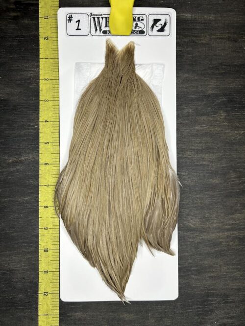 Whiting Cape – Kelly's Picks – Dun #1