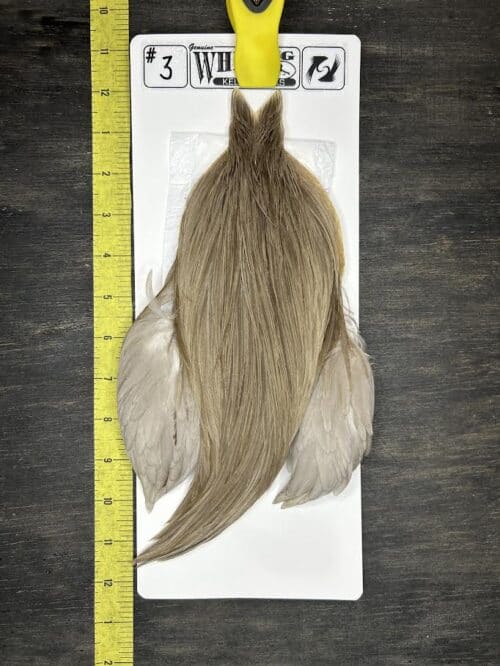 Whiting Cape – Kelly's Picks – Dun #3