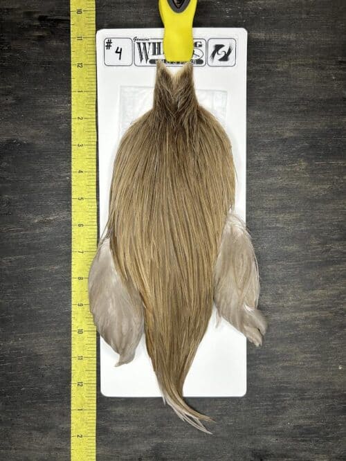 Whiting Cape – Kelly's Picks – Dun #4