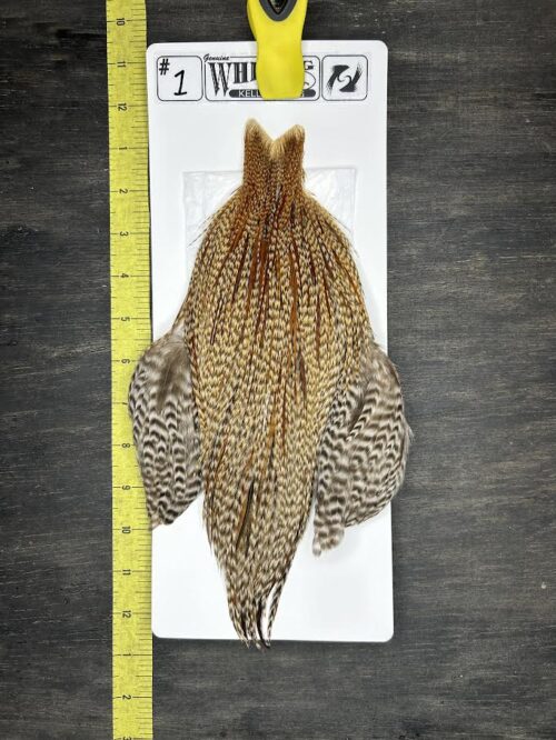 Whiting Cape - Kelly's Picks - Dun Cree #1