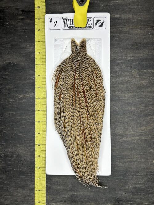 Whiting Cape - Kelly's Picks - Dun Cree #2