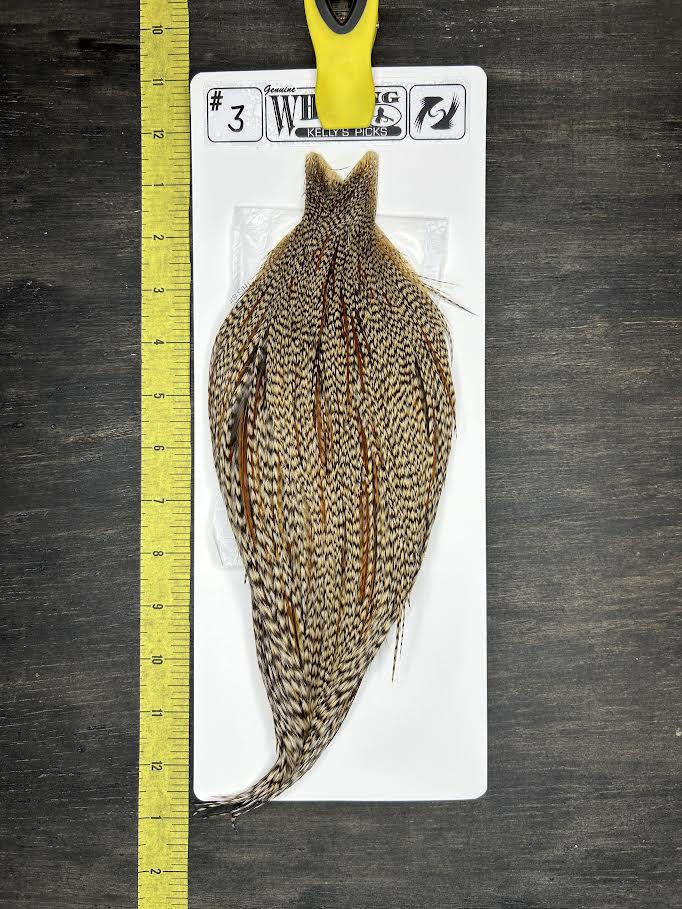 Whiting Cape - Kelly's Picks - Dun Cree #3