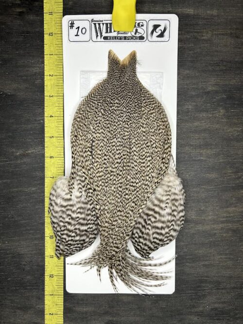 Whiting Cape – Kelly's Picks – Grizzly #10