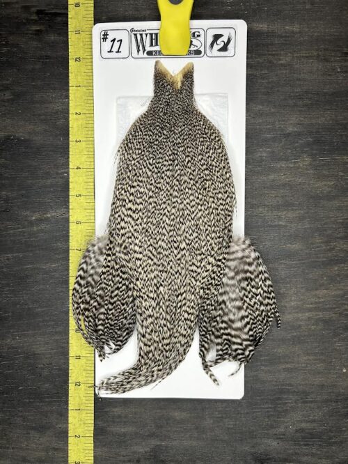Whiting Cape – Kelly's Picks – Grizzly #11