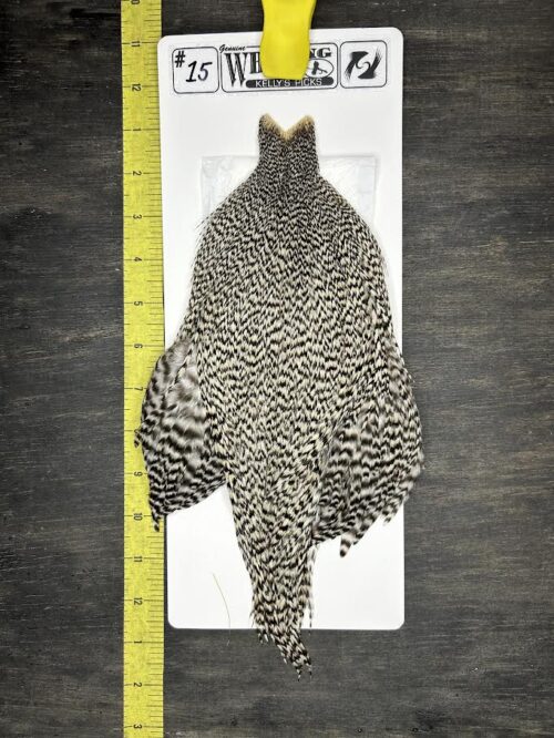 Whiting Cape – Kelly's Picks – Grizzly #15