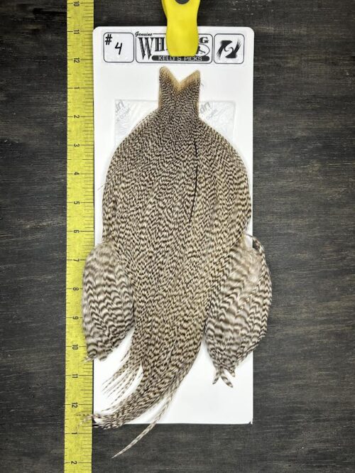 Whiting Cape – Kelly's Picks – Grizzly #4