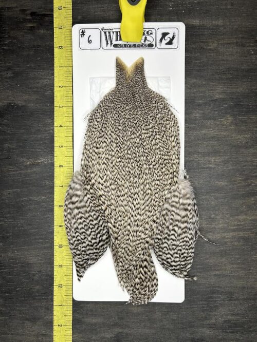 Whiting Cape – Kelly's Picks – Grizzly #6