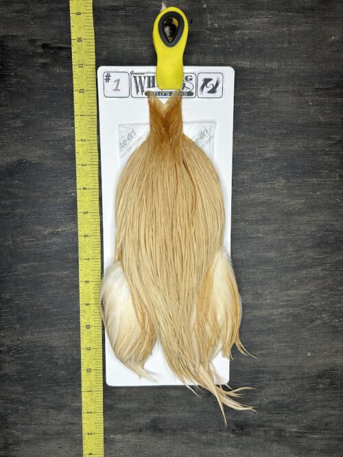 Whiting Cape – Kelly's Picks – Light Ginger #1