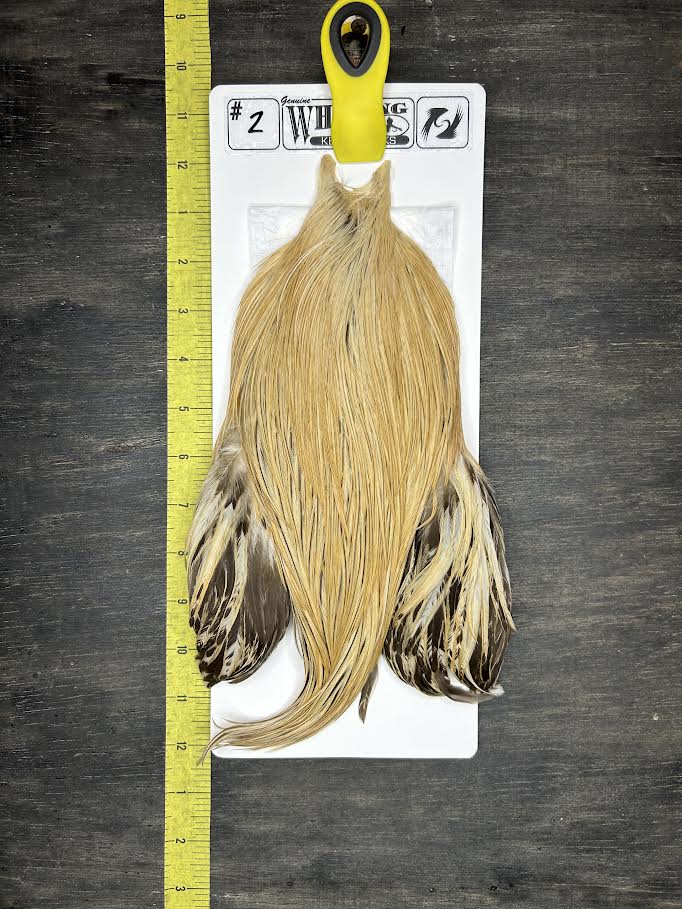 Whiting Cape – Kelly's Picks – Light Ginger #2