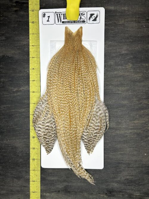 Whiting Cape – Kelly's Picks – Medium Barred Ginger #1