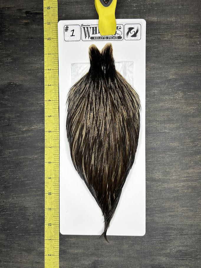 Whiting Cape - Kelly's Picks - Speckled Badger #1