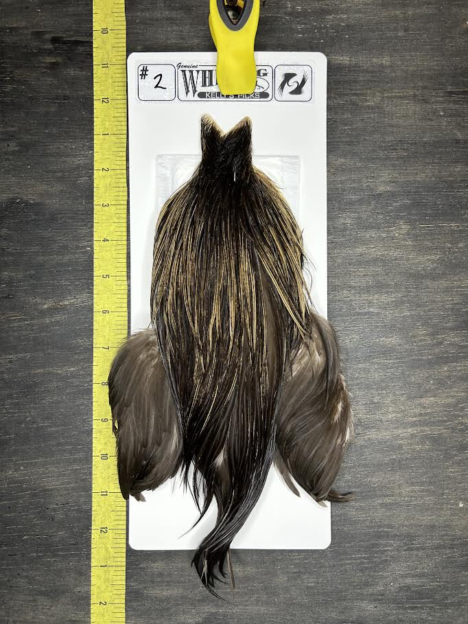 Whiting Cape - Kelly's Picks - Speckled Badger #2