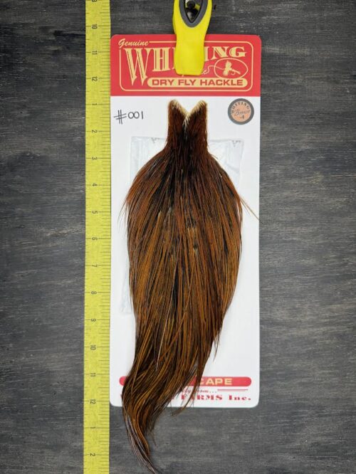 Whiting Dry Fly Cape - Bronze Grade - Coch-Y-Bonddu #001