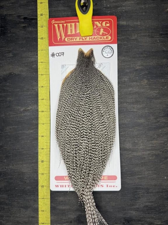 Whiting Dry Fly Cape – Silver Grade – Grizzly #007