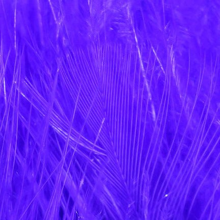 Bright Purple Marabou for tying.