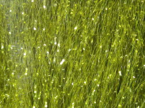 NEW Fly Tying Materials