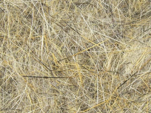 NEW Fly Tying Materials