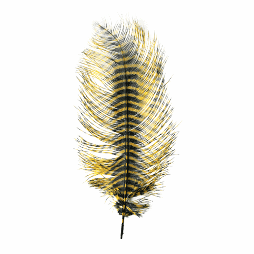 NEW Fly Tying Materials