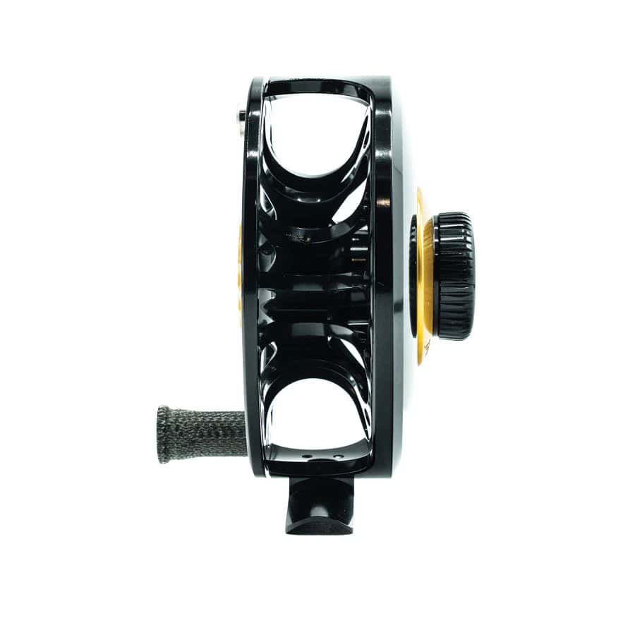 Ross San Miguel - Image 3