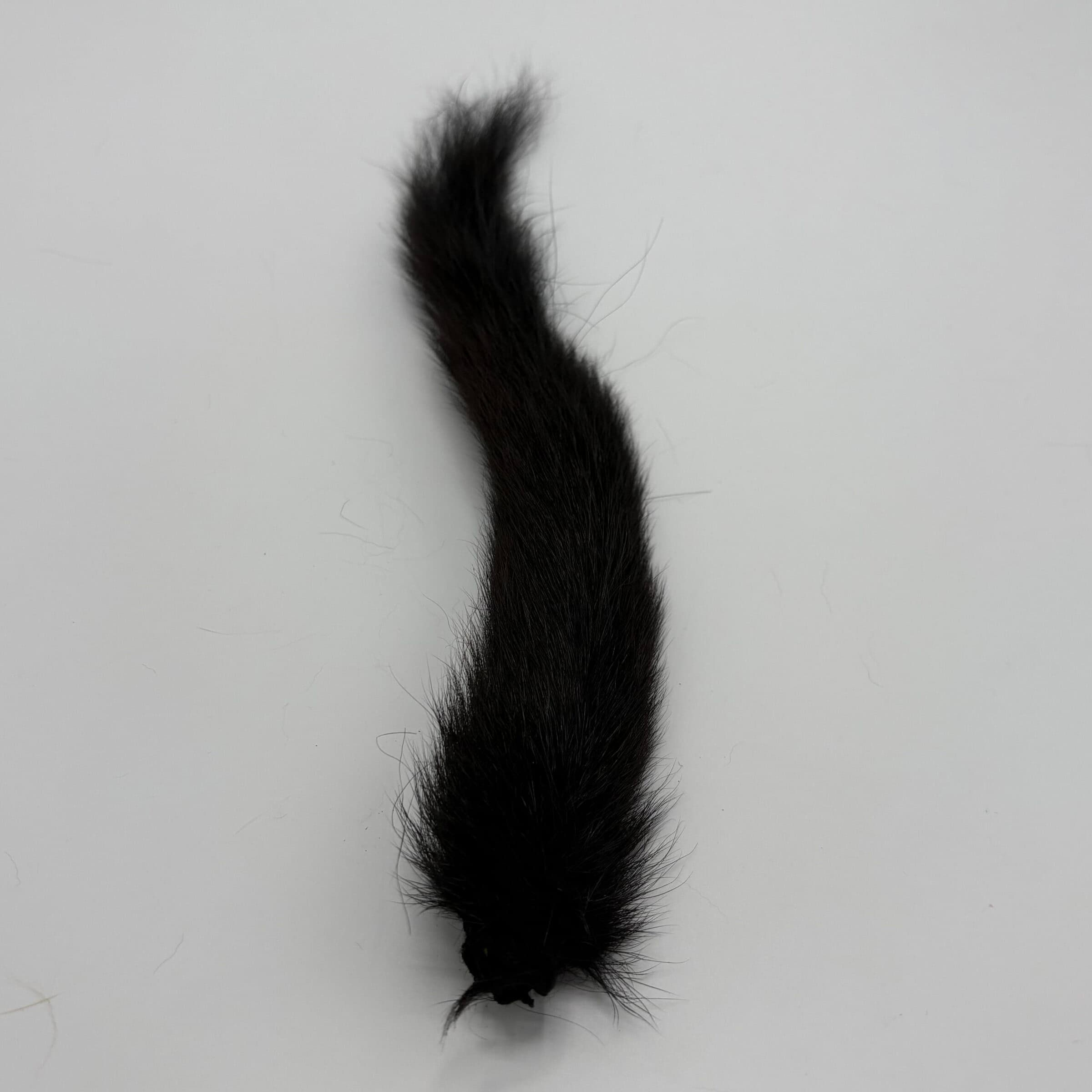 Squirrel Tail Black for tying.