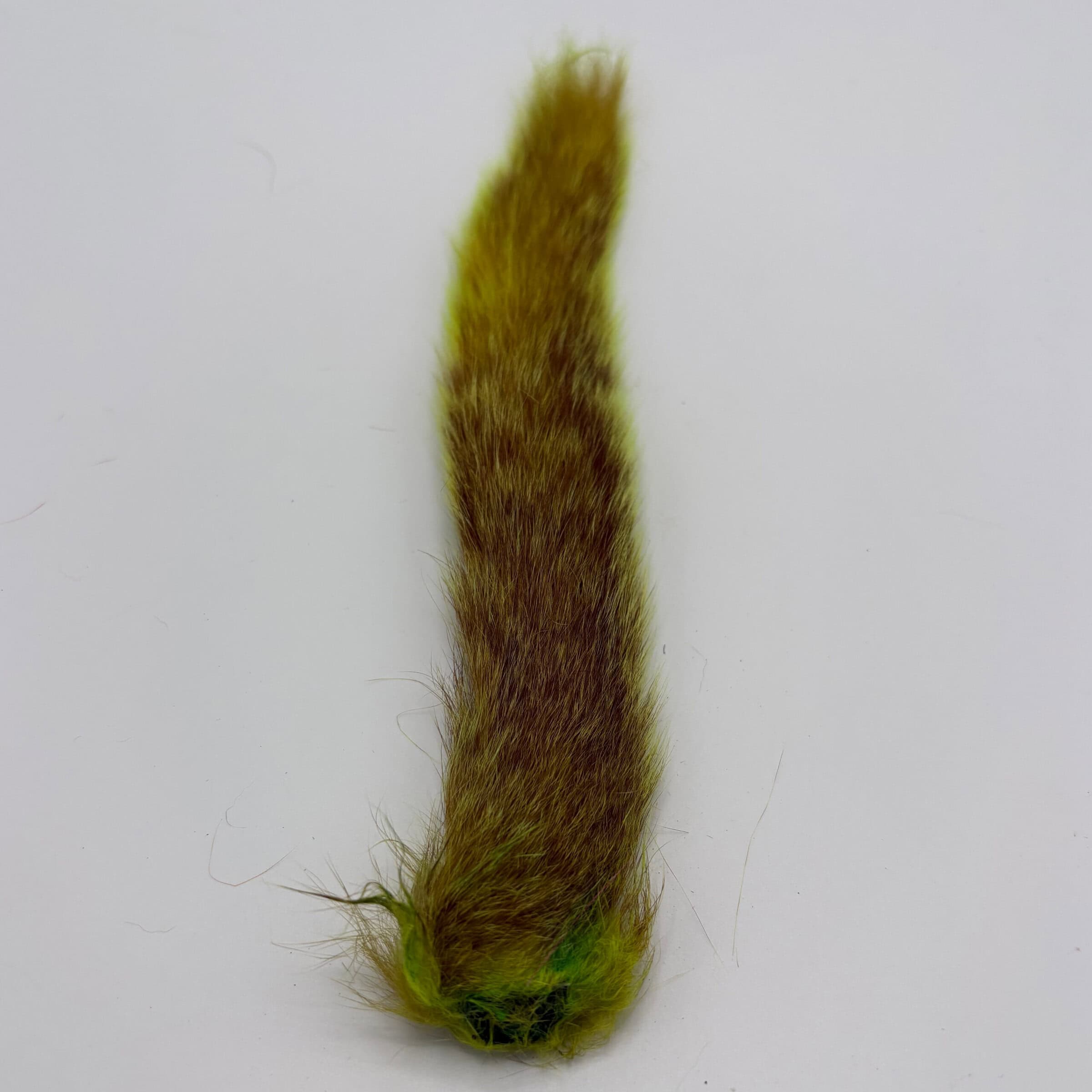 Squirrel Tail Chartruese for tying.