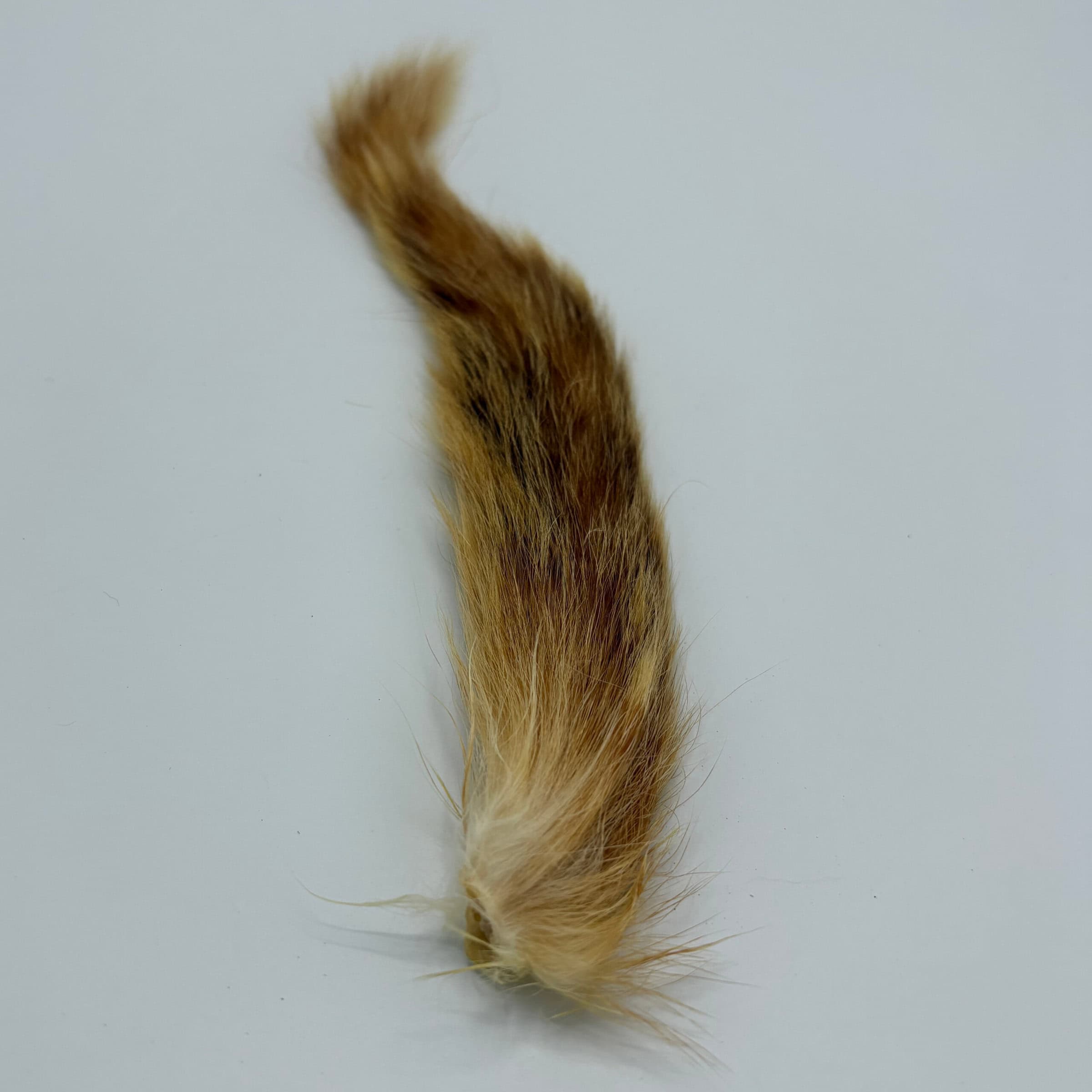 Squirrel Tail Ginger for tying.
