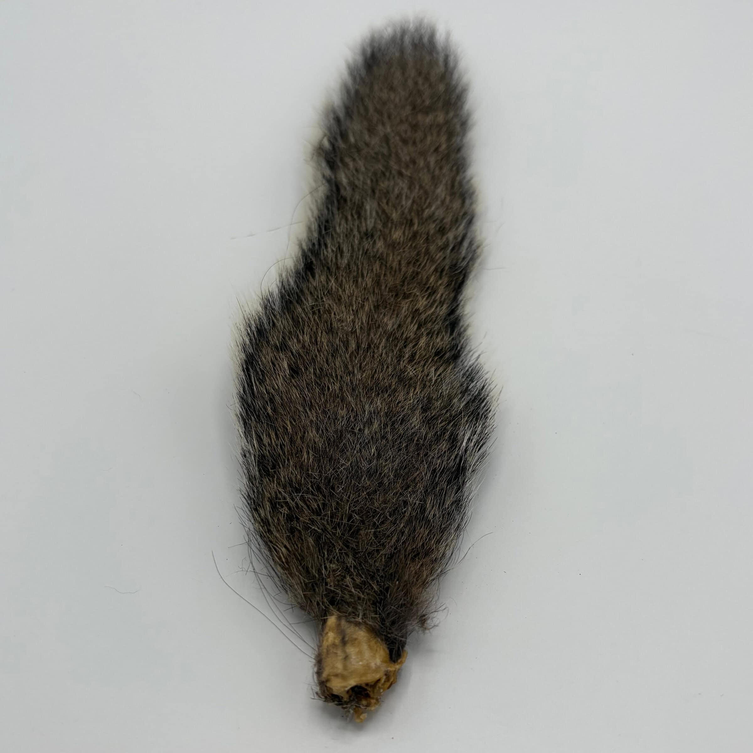 Squirrel Tail Grey for tying.