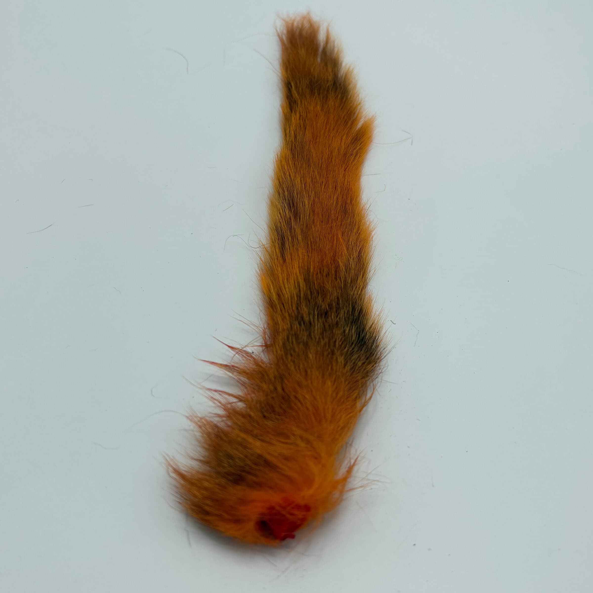 Squirrel Tail Fl. Orange for tying.