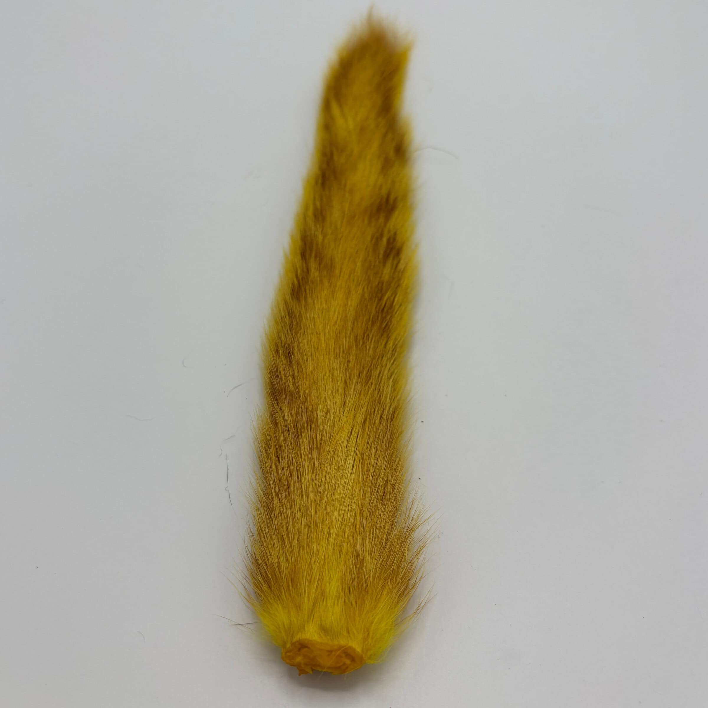 Squirrel Tail Yellow for tying.