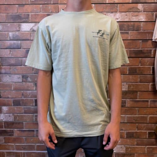 slide inn ouray sage tee